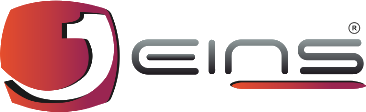 EINS_Logo
